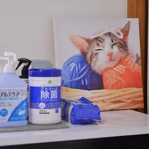 House 101 別荘